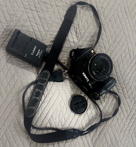 Panasonic lumix dmc fz150 1 - fz150, 12,1